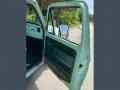 Jade Green Door Panel Photo for 1977 Ford F150 #146734685