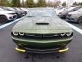 F8 Green - Challenger GT AWD Photo No. 8