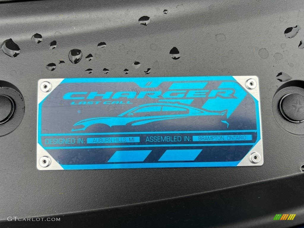 2023 Charger SXT - Frostbite / Black photo #10