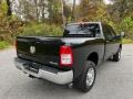 Diamond Black Crystal Pearl - 2500 Tradesman Crew Cab 4x4 Photo No. 6