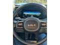 2022 Kia Sorento Hybrid Gray Interior Steering Wheel Photo