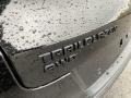 2021 Chevrolet Trailblazer RS AWD Badge and Logo Photo