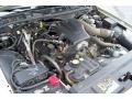 Gold Ash Metallic - Grand Marquis GS Photo No. 24