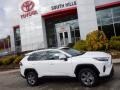 Ice Cap - RAV4 XLE AWD Photo No. 2