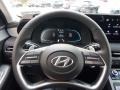 Black Steering Wheel Photo for 2024 Hyundai Palisade #146740363