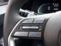 Black Steering Wheel Photo for 2024 Hyundai Palisade #146740378