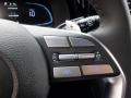 2024 Hyundai Palisade Black Interior Steering Wheel Photo