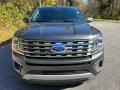 2021 Magnetic Metallic Ford Expedition Limited Max  photo #3