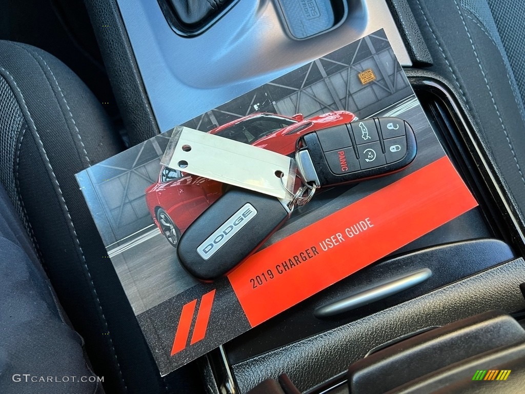 2019 Charger SXT - Triple Nickel / Black photo #26