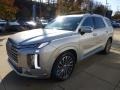 Typhoon Silver 2024 Hyundai Palisade Calligraphy AWD Exterior