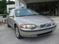 Ash Gold Metallic - V70 2.4 Photo No. 9
