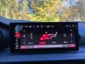 Controls of 2024 Hornet GT Plus Track Pack/Blacktop AWD