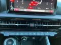 Controls of 2024 Hornet GT Plus Track Pack/Blacktop AWD