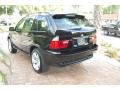 2006 Black Sapphire Metallic BMW X5 4.4i  photo #20