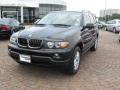 Jet Black - X5 3.0i Photo No. 4