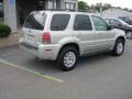 Satellite Silver Metallic - Mariner Luxury 4WD Photo No. 4
