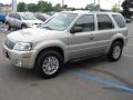 2006 Satellite Silver Metallic Mercury Mariner Luxury 4WD  photo #10