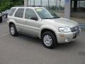 Satellite Silver Metallic - Mariner Luxury 4WD Photo No. 14
