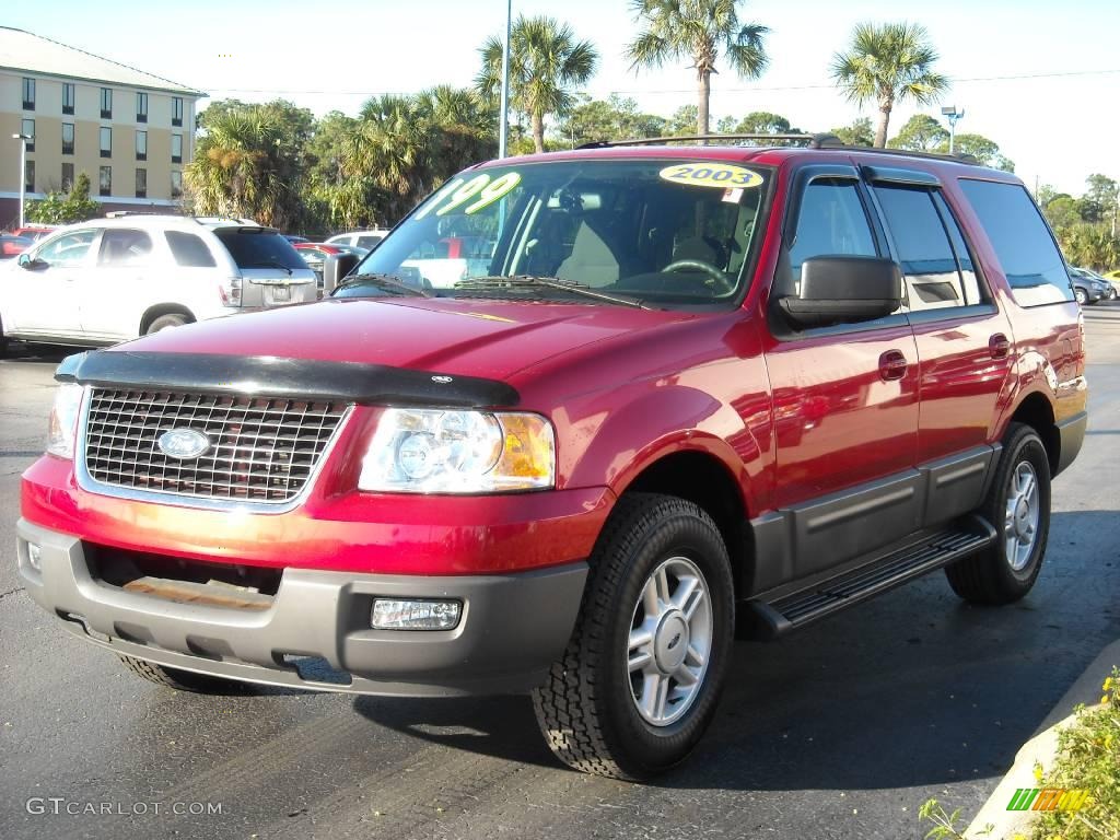 2003 Expedition XLT - Laser Red Tinted Metallic / Flint Grey photo #7