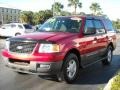 2003 Laser Red Tinted Metallic Ford Expedition XLT  photo #7