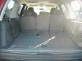2003 Laser Red Tinted Metallic Ford Expedition XLT  photo #17