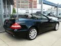 Black - SL 550 Roadster Photo No. 7