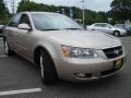 Golden Beige - Sonata LX V6 Photo No. 7