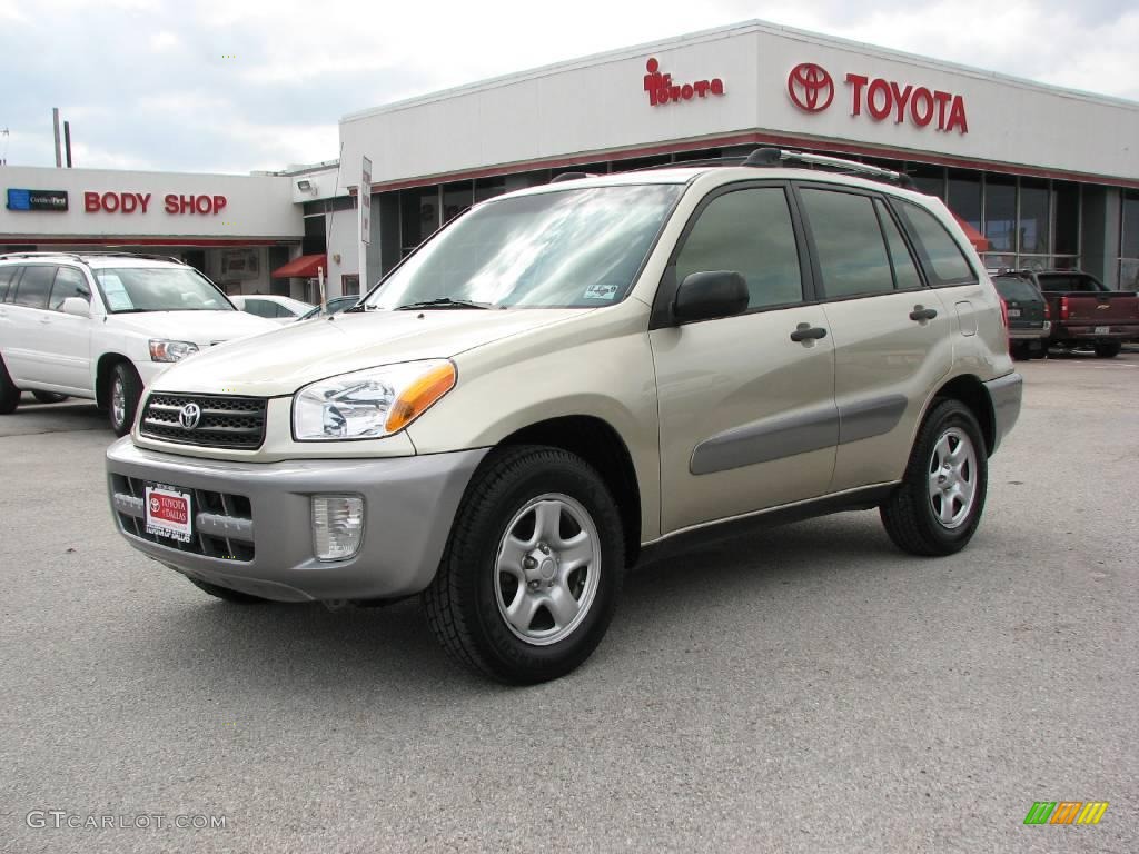 2003 RAV4  - Vintage Gold / Taupe photo #2