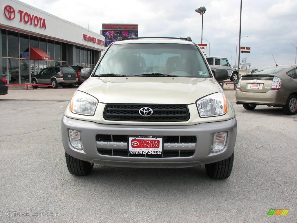 2003 RAV4  - Vintage Gold / Taupe photo #3