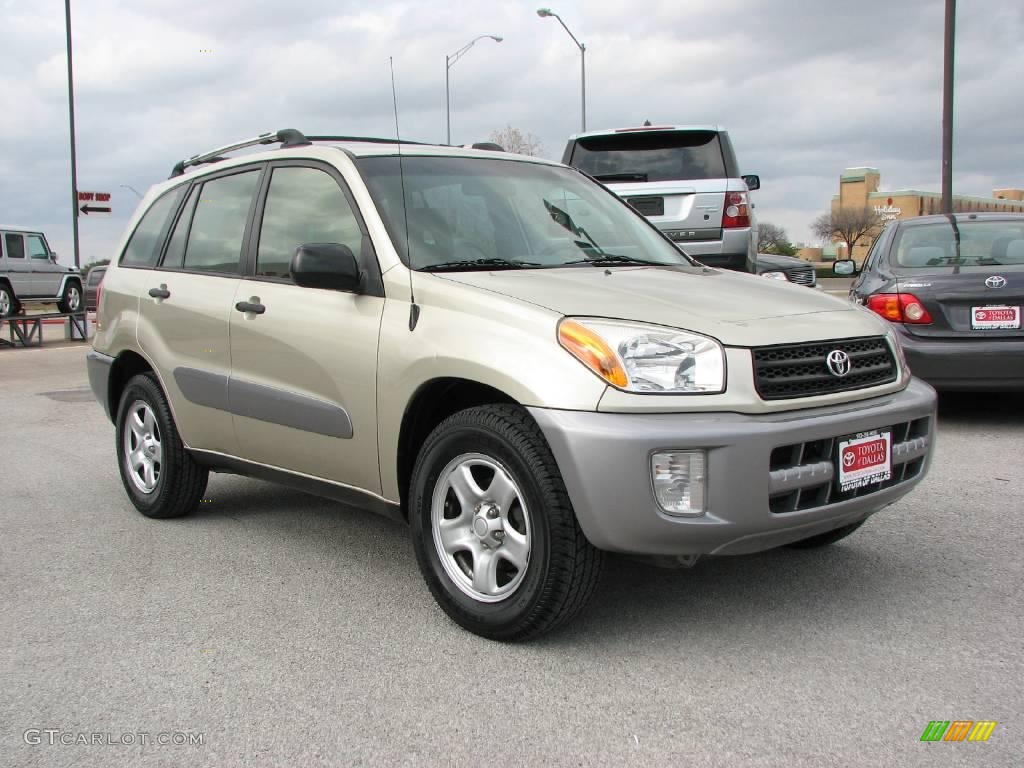 2003 RAV4  - Vintage Gold / Taupe photo #4