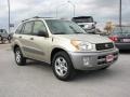 2003 Vintage Gold Toyota RAV4   photo #4