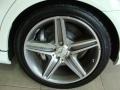 Arctic White - E 63 AMG Sedan Photo No. 15