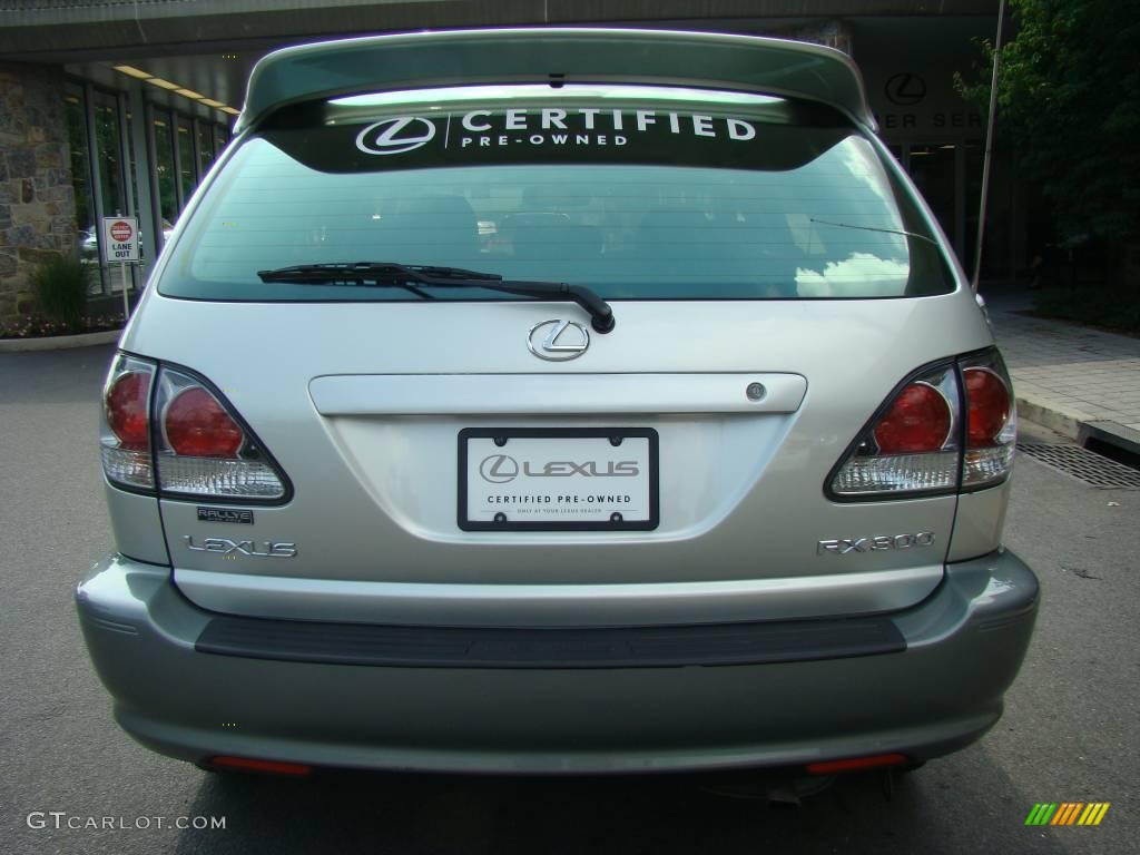 2003 RX 300 AWD - Millenium Silver Metallic / Black photo #5