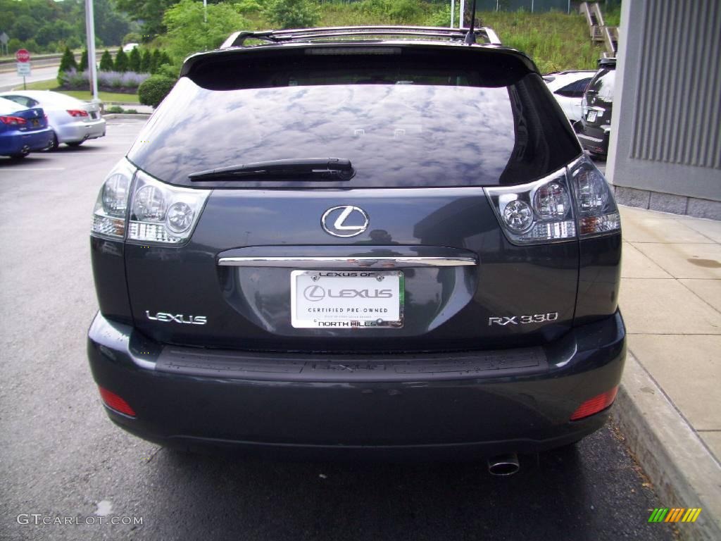 2004 RX 330 AWD - Flint Gray Mica / Light Gray photo #4