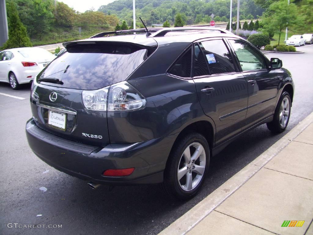 2004 RX 330 AWD - Flint Gray Mica / Light Gray photo #5