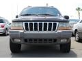 Sienna Pearl - Grand Cherokee Laredo Photo No. 2