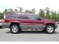 Sienna Pearl - Grand Cherokee Laredo Photo No. 4