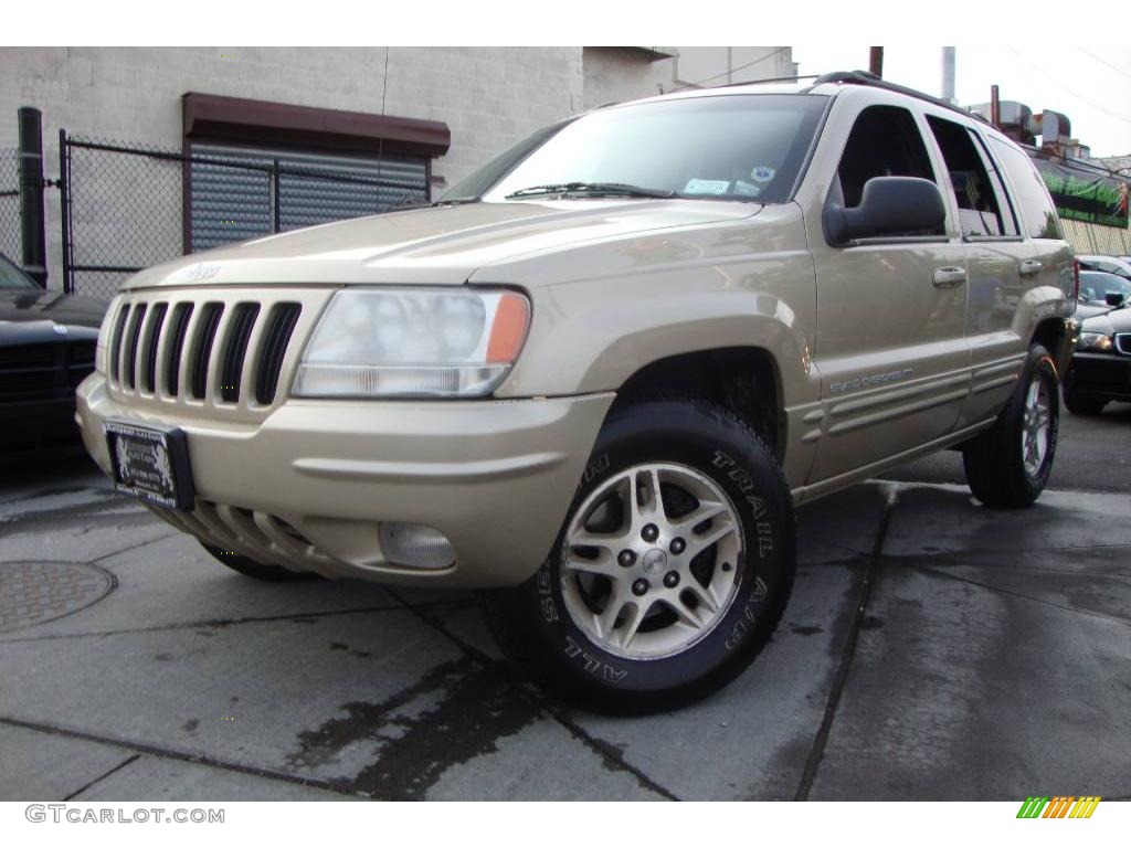 1999 Grand Cherokee Limited 4x4 - Champagne Pearl / Agate photo #1