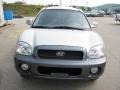 2004 Pewter Hyundai Santa Fe GLS 4WD  photo #10