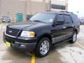 Black Clearcoat - Expedition XLS Photo No. 7