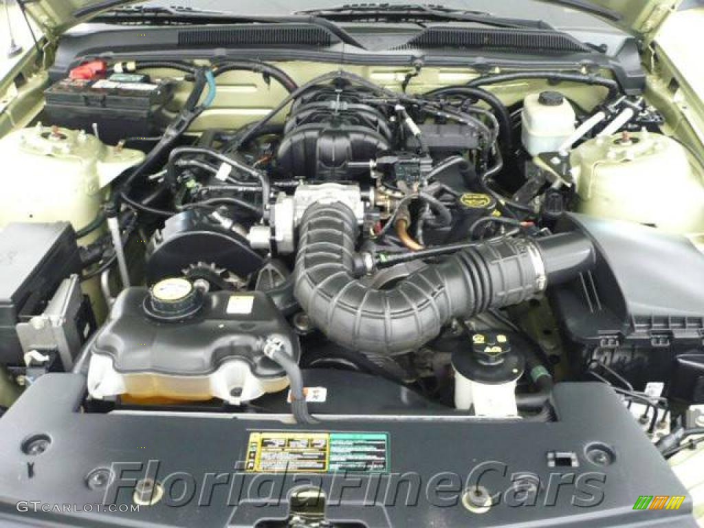 2005 Mustang V6 Premium Convertible - Legend Lime Metallic / Medium Parchment photo #9