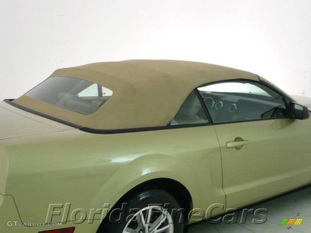 2005 Mustang V6 Premium Convertible - Legend Lime Metallic / Medium Parchment photo #10