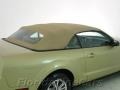 2005 Legend Lime Metallic Ford Mustang V6 Premium Convertible  photo #10