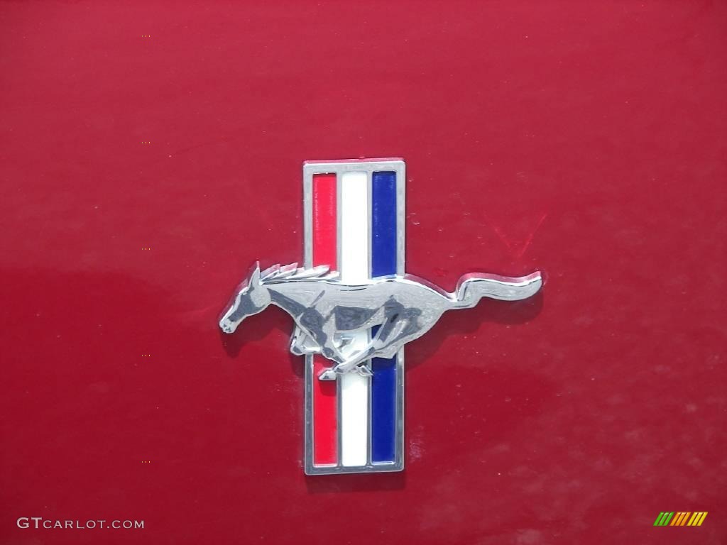 2006 Mustang V6 Premium Coupe - Redfire Metallic / Dark Charcoal photo #16