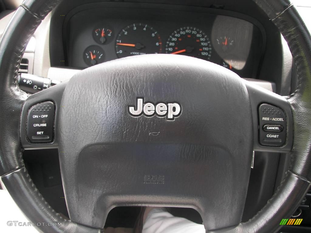 2004 Grand Cherokee Laredo 4x4 - Graphite Metallic / Dark Slate Gray photo #12