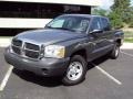 Mineral Gray Metallic 2006 Dodge Dakota ST Quad Cab 4x4