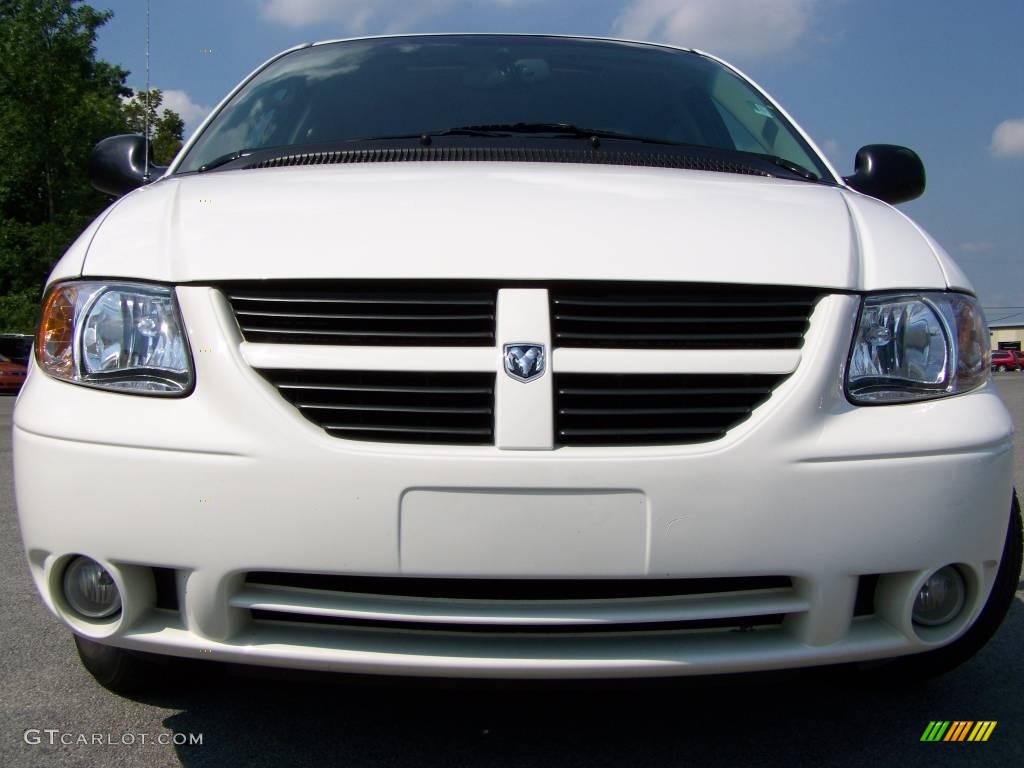 2007 Grand Caravan SXT - Stone White / Medium Slate Gray photo #8