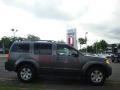 2006 Storm Grey Metallic Nissan Pathfinder LE 4x4  photo #12