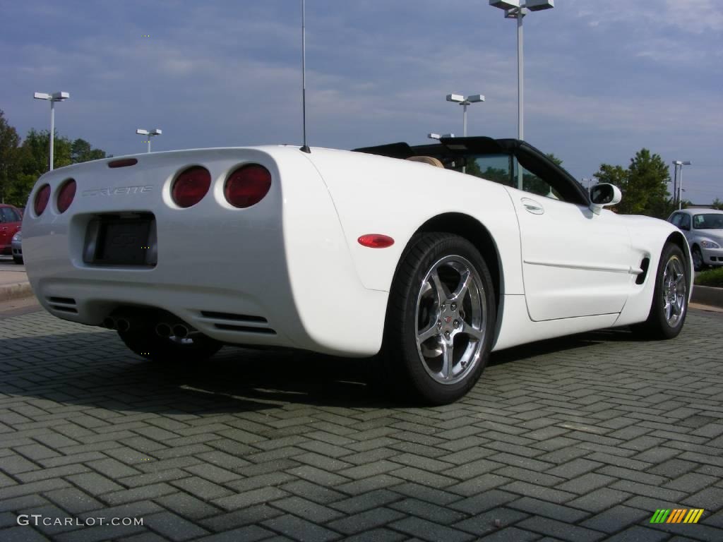 2004 Corvette Convertible - Arctic White / Light Oak photo #5