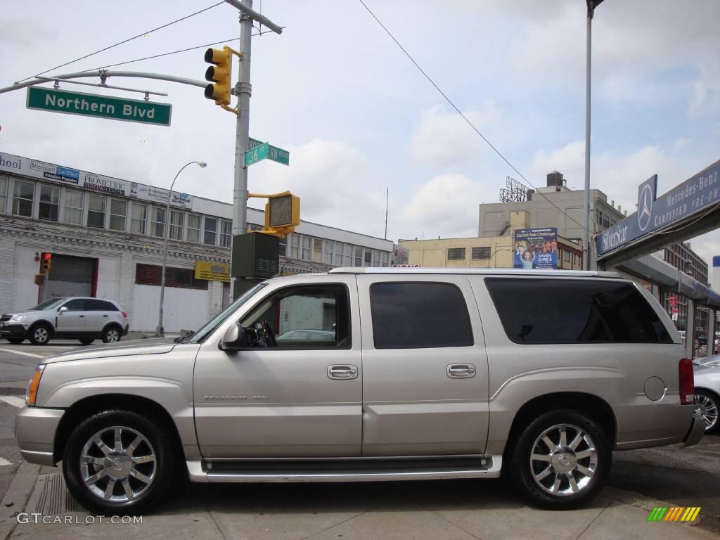 2005 Escalade ESV AWD - Quicksilver / Shale photo #18